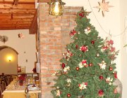 375977 242923322444668 552482634 n