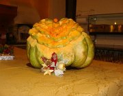 383221 242924382444562 1462898023 n