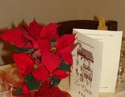 401268 242923895777944 1133487144 n